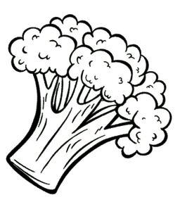 Plant-Based Catering