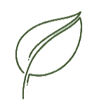 Leaf Icon
